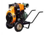 motor diesel 17 Cp
