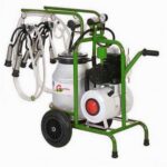 Aparat de muls vaci DKD 2 posturi bidon aluminiu 40L tanc vacuum