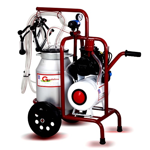 Aparate ieftine de muls oile este dotat cu un motor de 550W si cu un rezervor din aluminiu de 30 litri