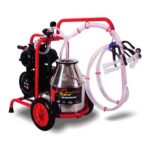 Mulgatoare oi DKD 1 Post cu bidon de 30L inox si vacuum. Preturi mulgatori ieftine de vanzare